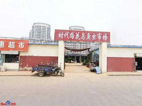 赣榆大鬼最新爆料,揭秘事件背后惊人真相！